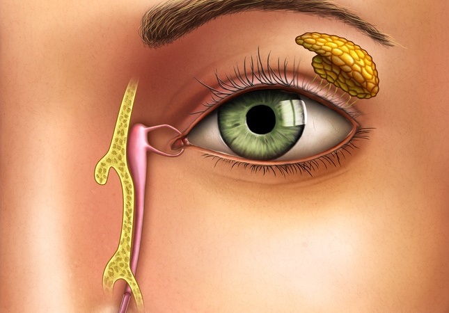Artículo oftalmológico sobre la Superficie ocular